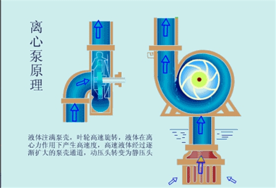 離心泵2.gif