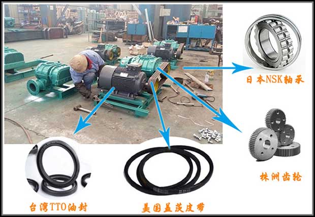 【面粉廠】脈沖風(fēng)機(jī)為什么要選擇華東？