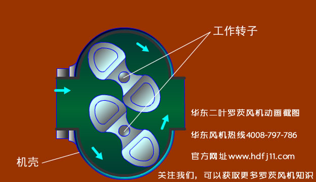 羅茨風機的動畫截圖.jpg